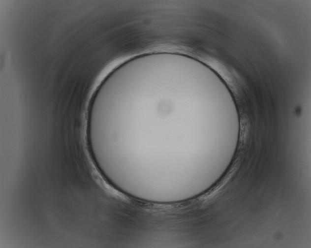 X0000097761094200803070831