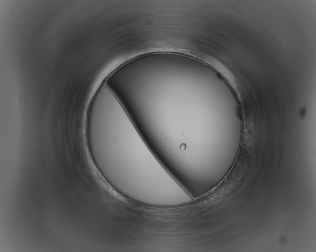 X0000097761096200803070831