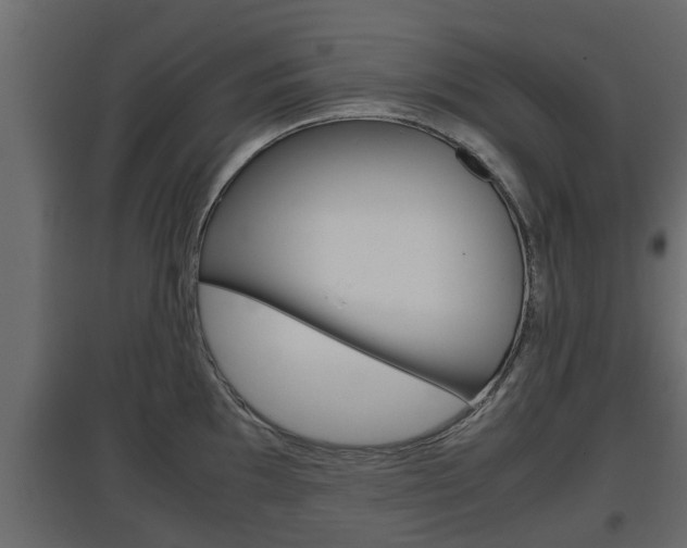 X0000097761097200803070831