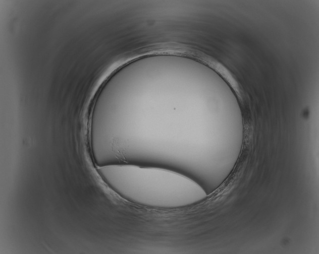 X0000097761099200803070831