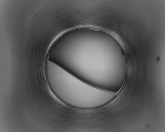 X0000097761100200803070831