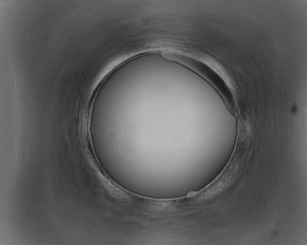 X0000097761101200803070831