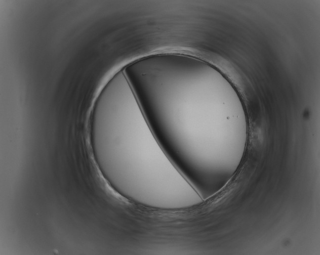 X0000097761102200803070831