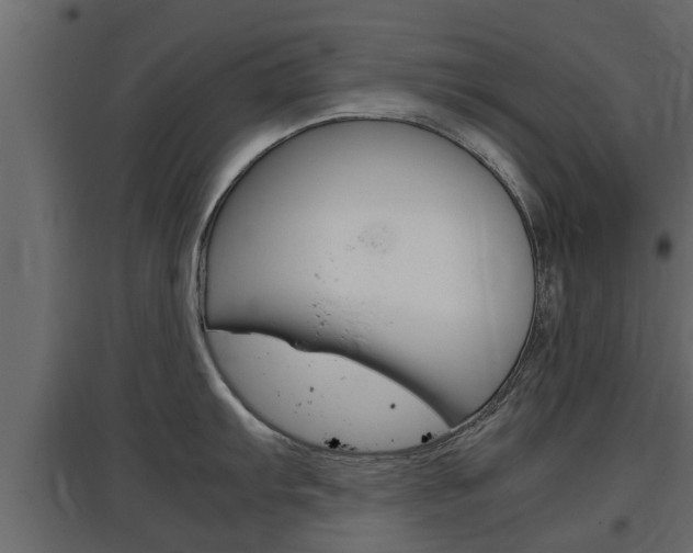 X0000097761103200803070831