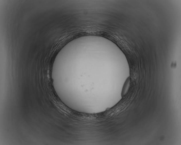 X0000097761106200803070830