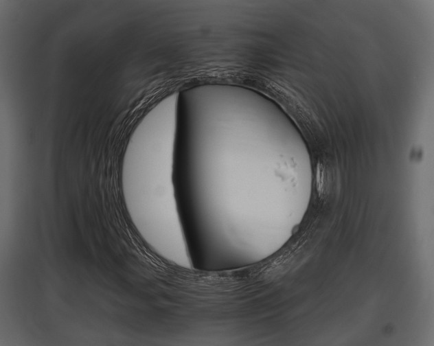 X0000097761107200803070830