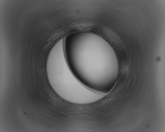 X0000097761108200803070830