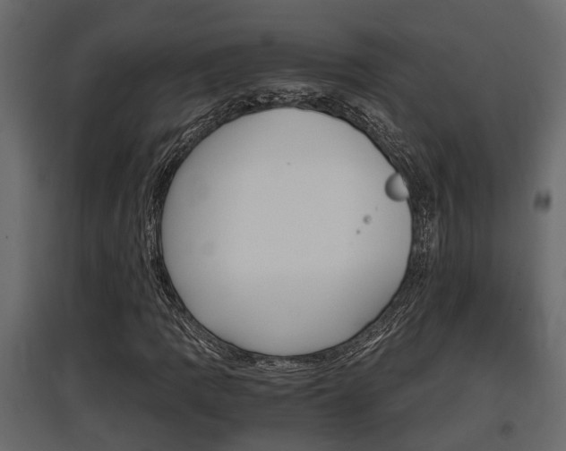 X0000097761109200803070830