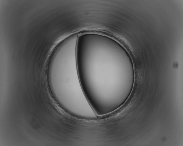 X0000097761114200803070830