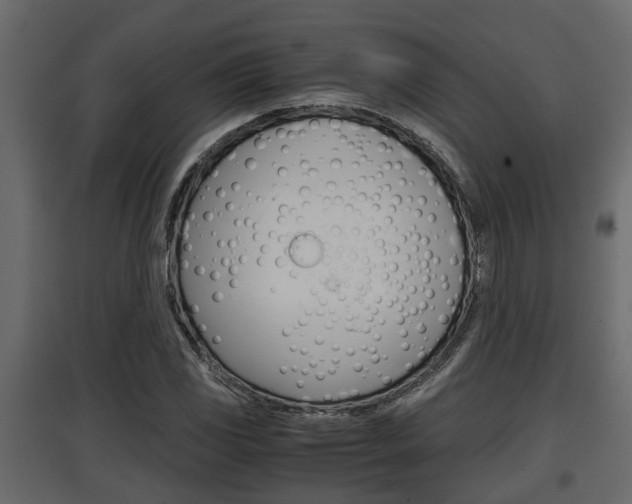 X0000097761117200803070830