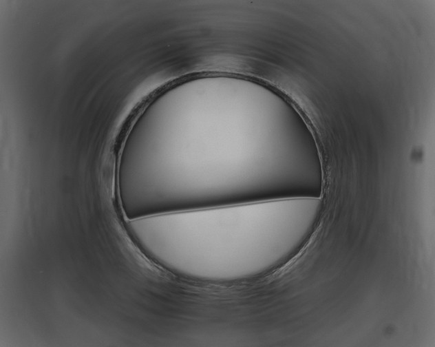 X0000097761123200803070830