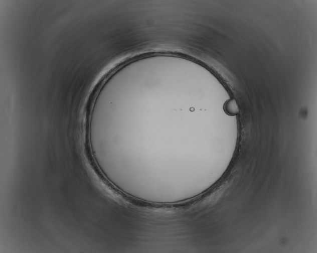X0000097761126200803070831