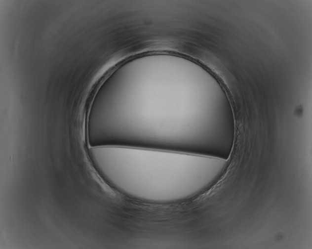 X0000097761127200803070831