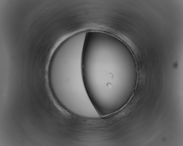 X0000097761128200803070831