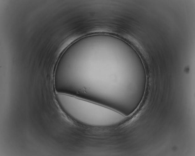 X0000097761129200803070831