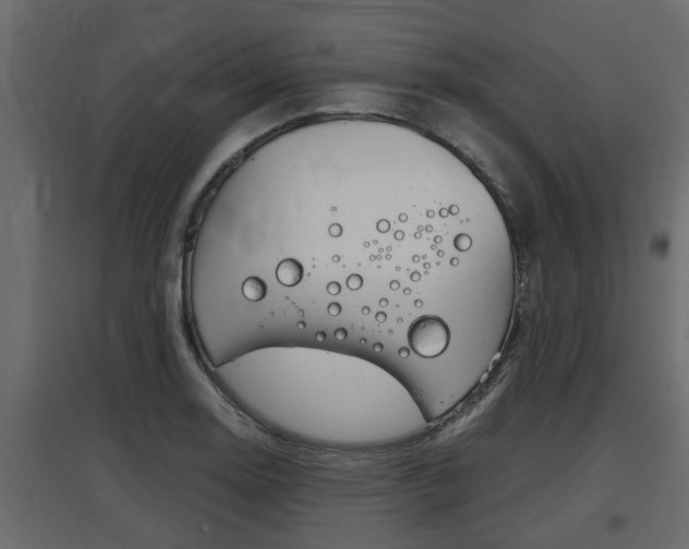 X0000097761130200803070831
