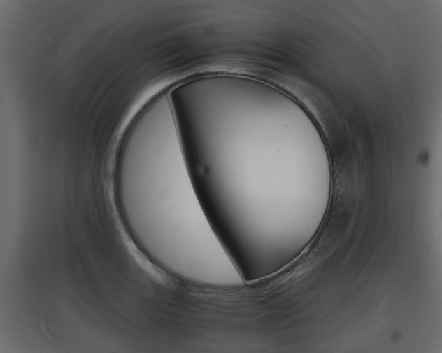 X0000097761131200803070831
