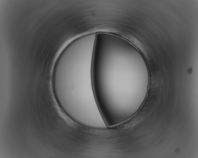 X0000097761132200803070831