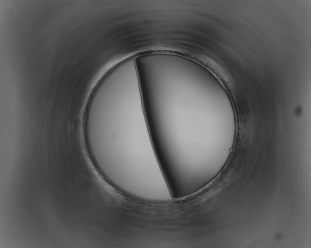 X0000097761133200803070831