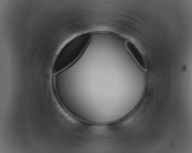 X0000097761134200803070831