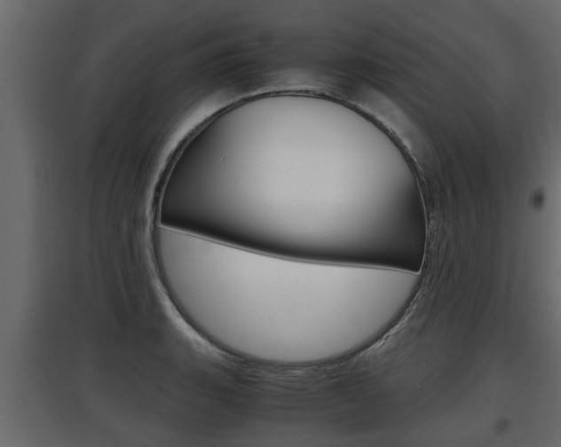 X0000097761135200803070831