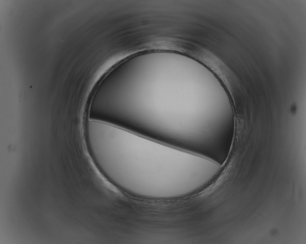 X0000097761141200803070831