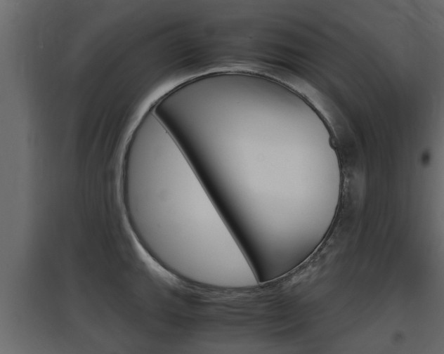 X0000097761143200803070831