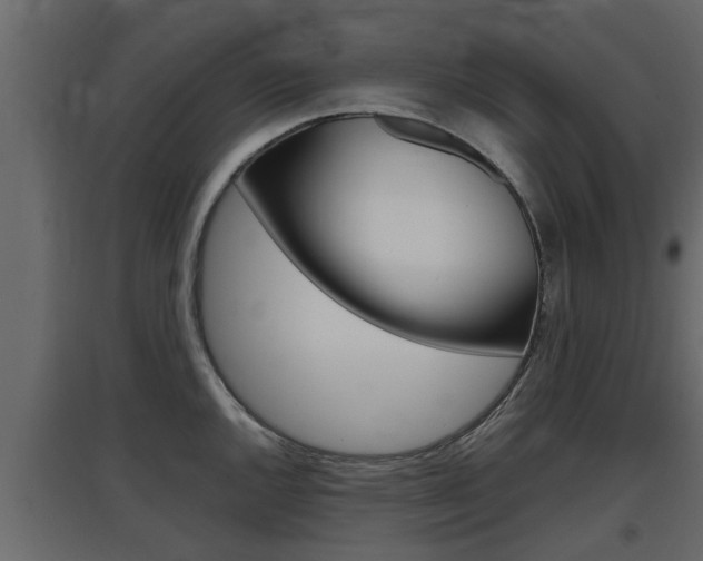 X0000097761144200803070831
