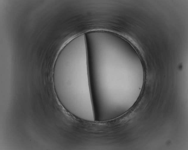 X0000097761145200803070831