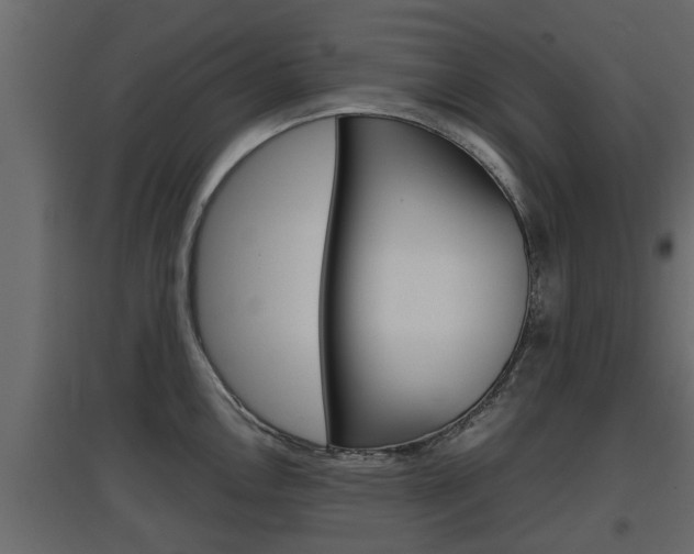 X0000097761146200803070831