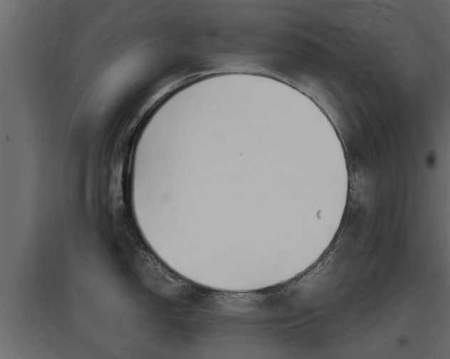 X0000097761150200803070831