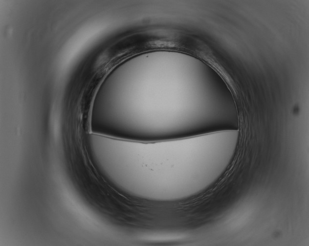 X0000097761151200803070831