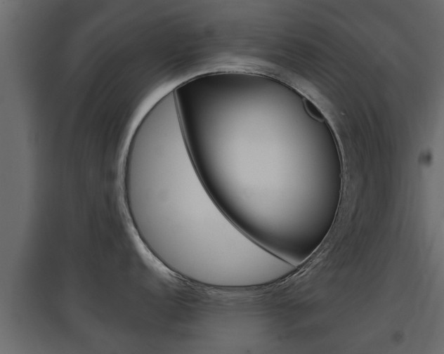 X0000097761152200803070831