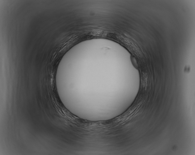 X0000097761154200803070830