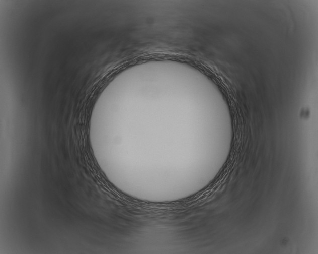 X0000097761157200803070830