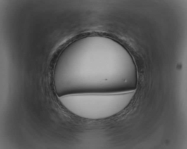 X0000097761159200803070830