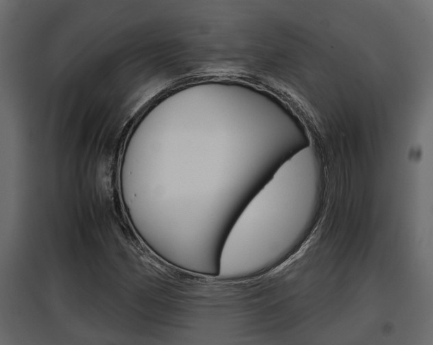 X0000097761162200803070830