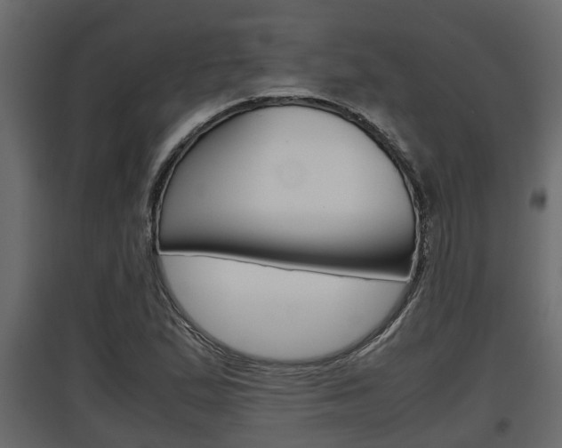 X0000097761167200803070830