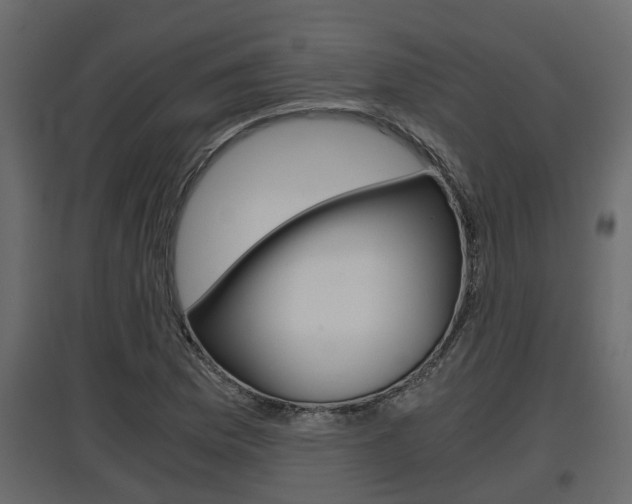 X0000097761169200803070830