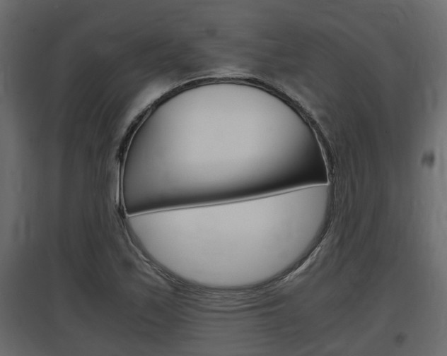 X0000097761171200803070830