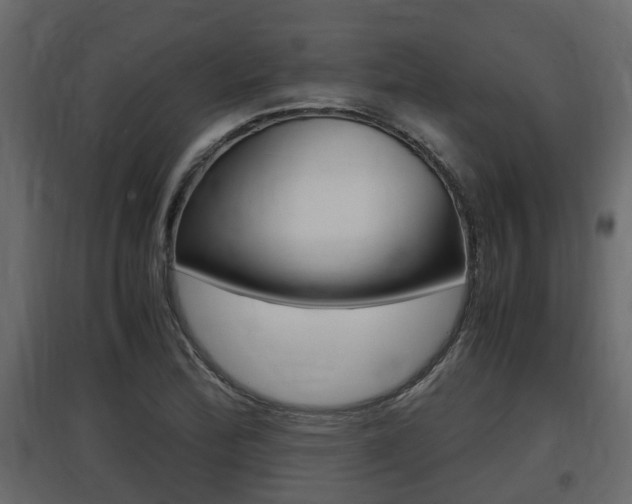 X0000097761172200803070830