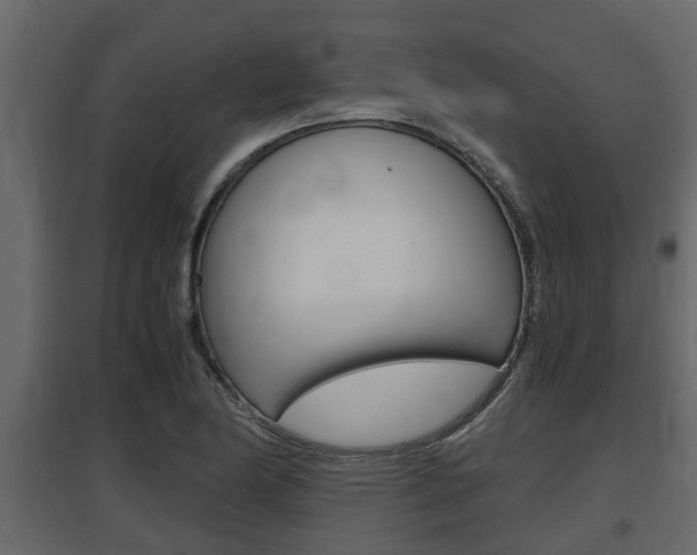 X0000097761174200803070830