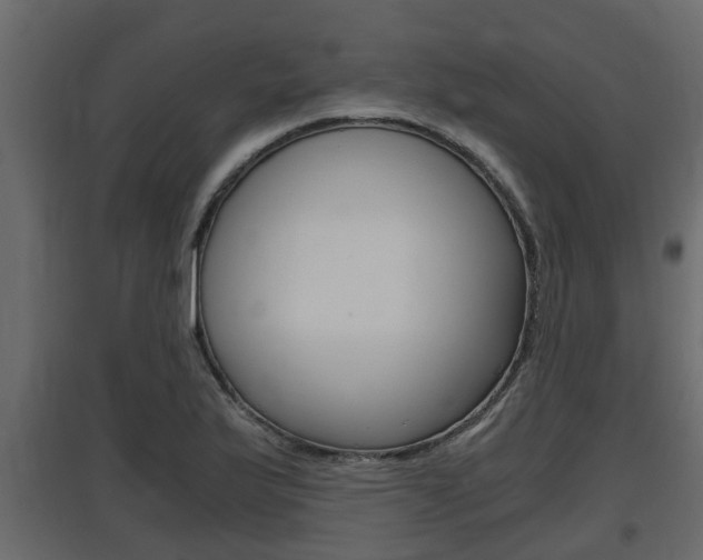 X0000097761175200803070830