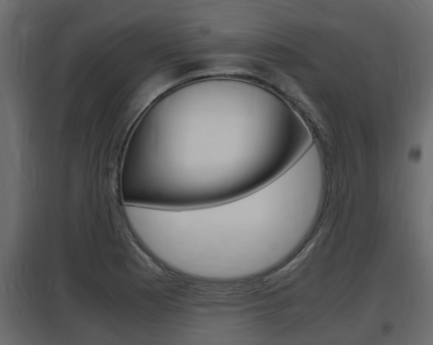 X0000097761177200803070830