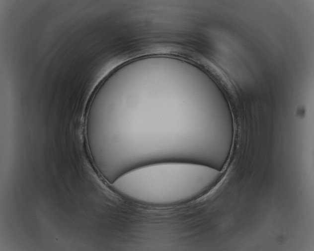 X0000097761178200803070830