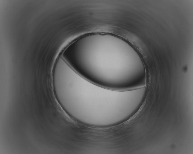 X0000097761184200803070830