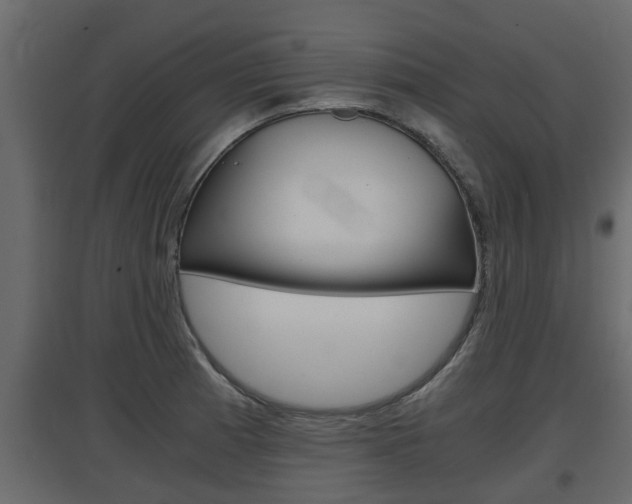 X0000097761185200803070830