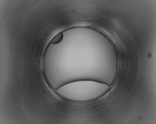 X0000097761186200803070830