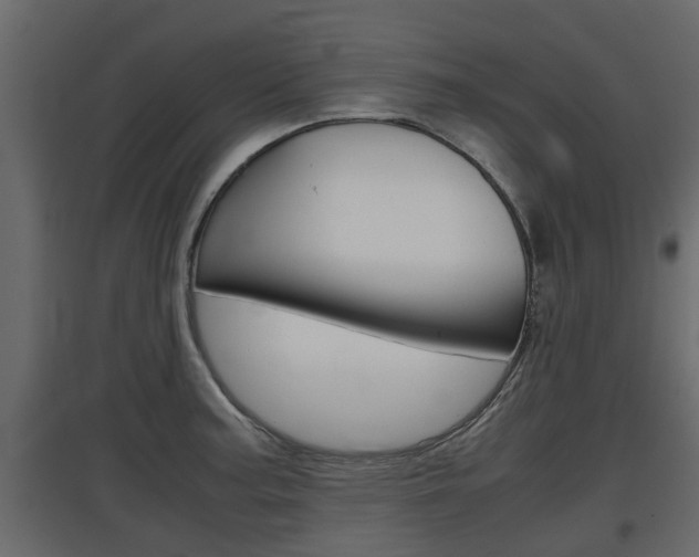 X0000097761187200803070830