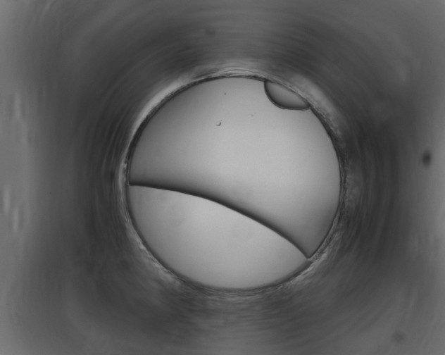 X0000097761190200803070829